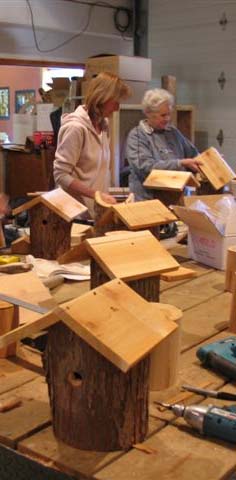 bird house building bird house building